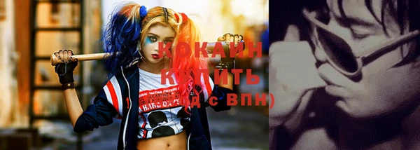 мет Ельня