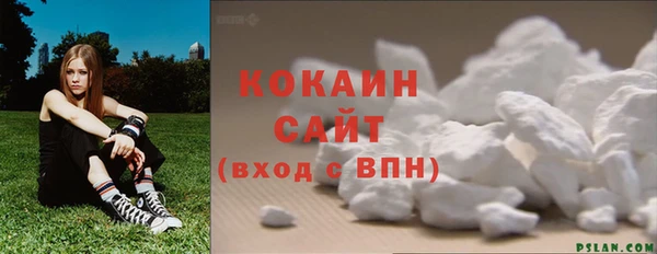 мет Ельня