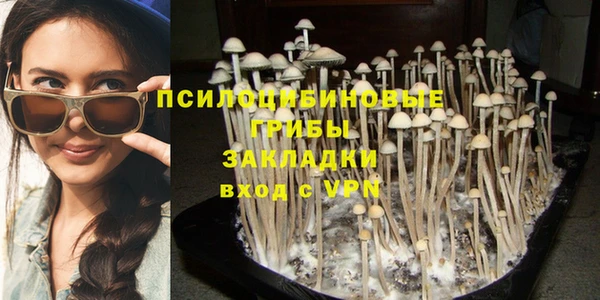 спиды Елизово
