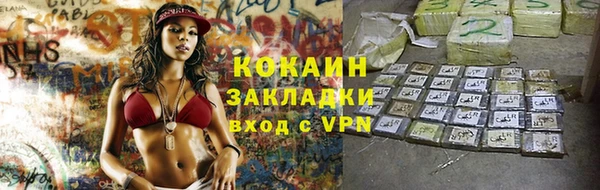 спиды Елизово