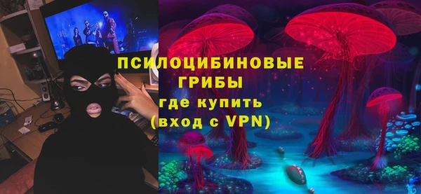 мет Ельня