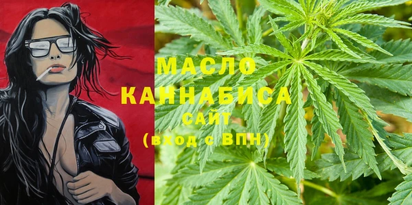 мет Ельня