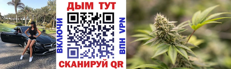 Купить  Лабинск  Бошки Шишки планчик 